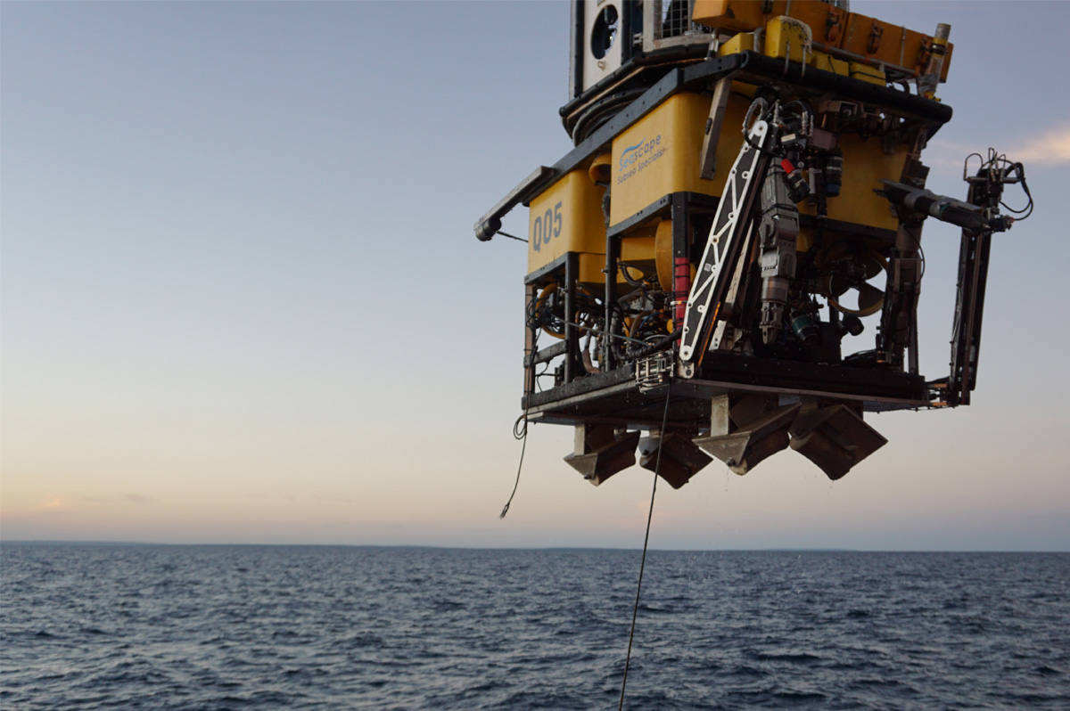 Remotely Operated Vehicle